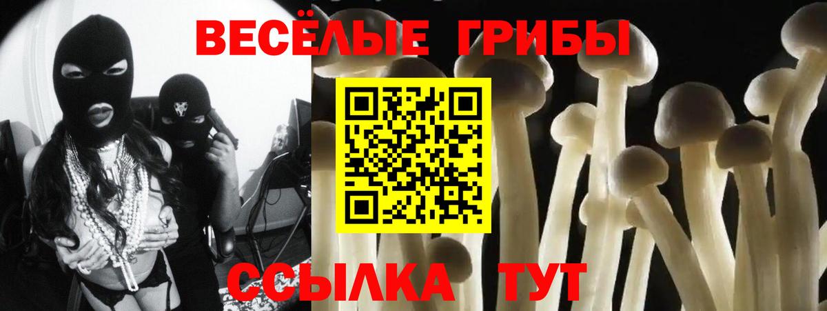 Курчалой  Псилоцибиновые грибы GOLDEN TEACHER  Вход с VPN 